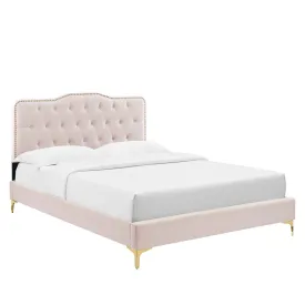 Amber Performance Velvet Queen Platform Bed By Modway - MOD-6775 - Pink