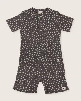Animal Print T-Shirt & Shorts Set