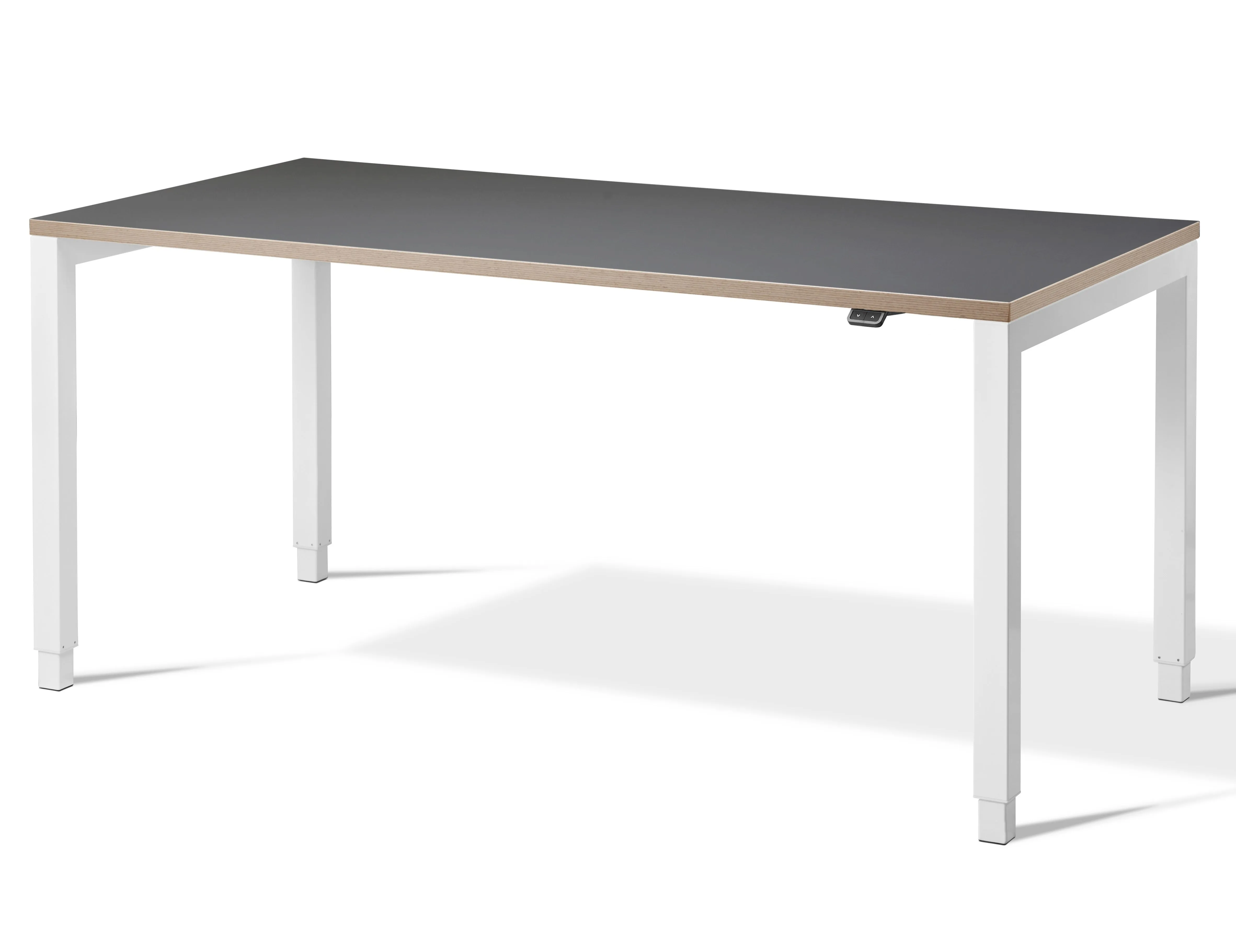 Aspa Executive Designer Standing Desk (with Bluetooth Control)