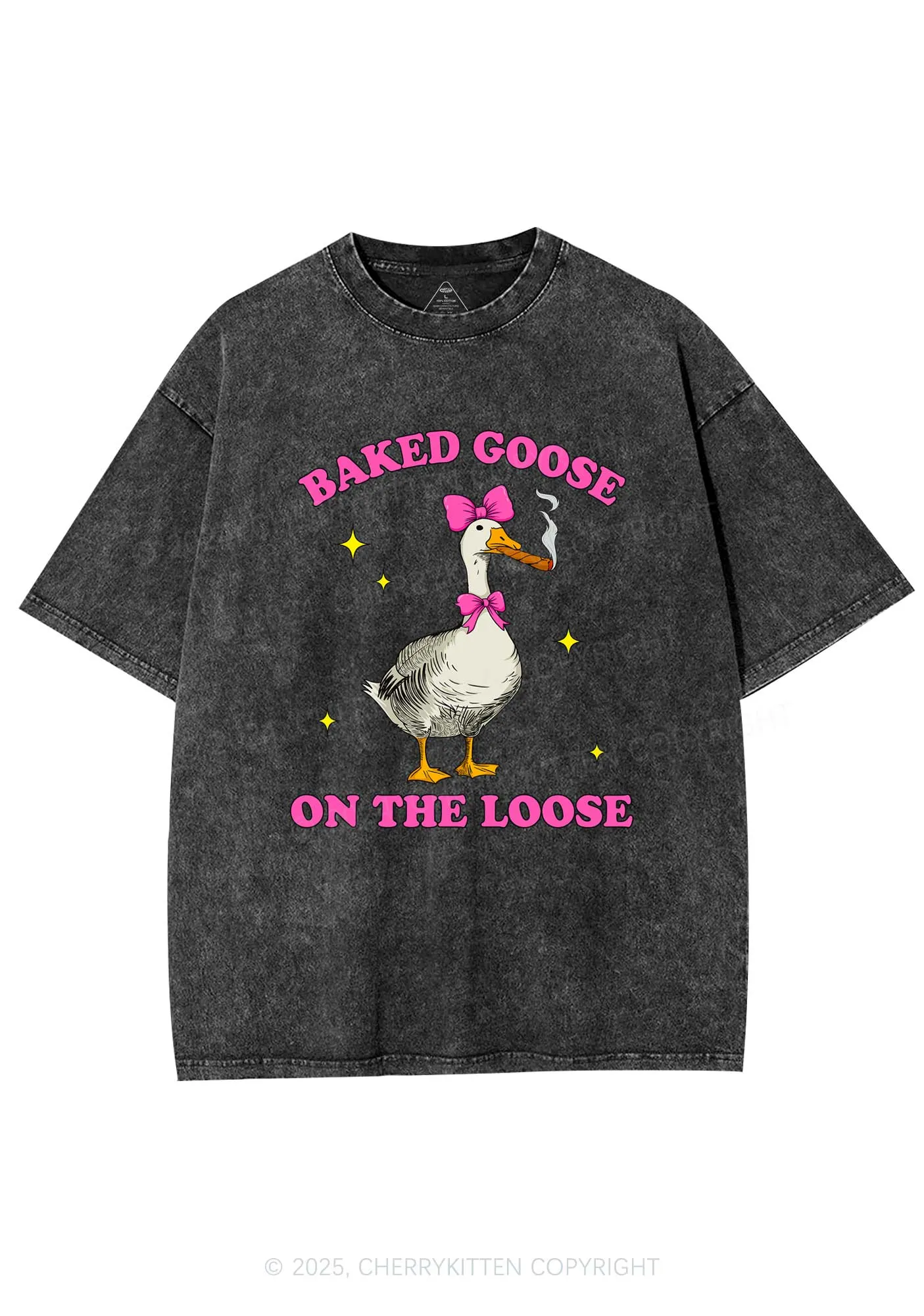 Baked Goose On The Loose Y2K Shirts Washed Tee Cherrykitten