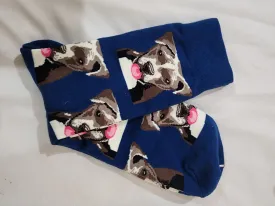 Colourful socks - lucky dog