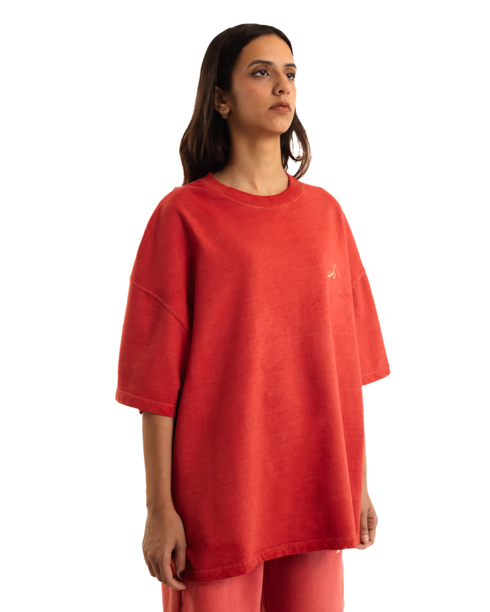 CRIMSON MADE IN PAK T-SHIRT (v2)