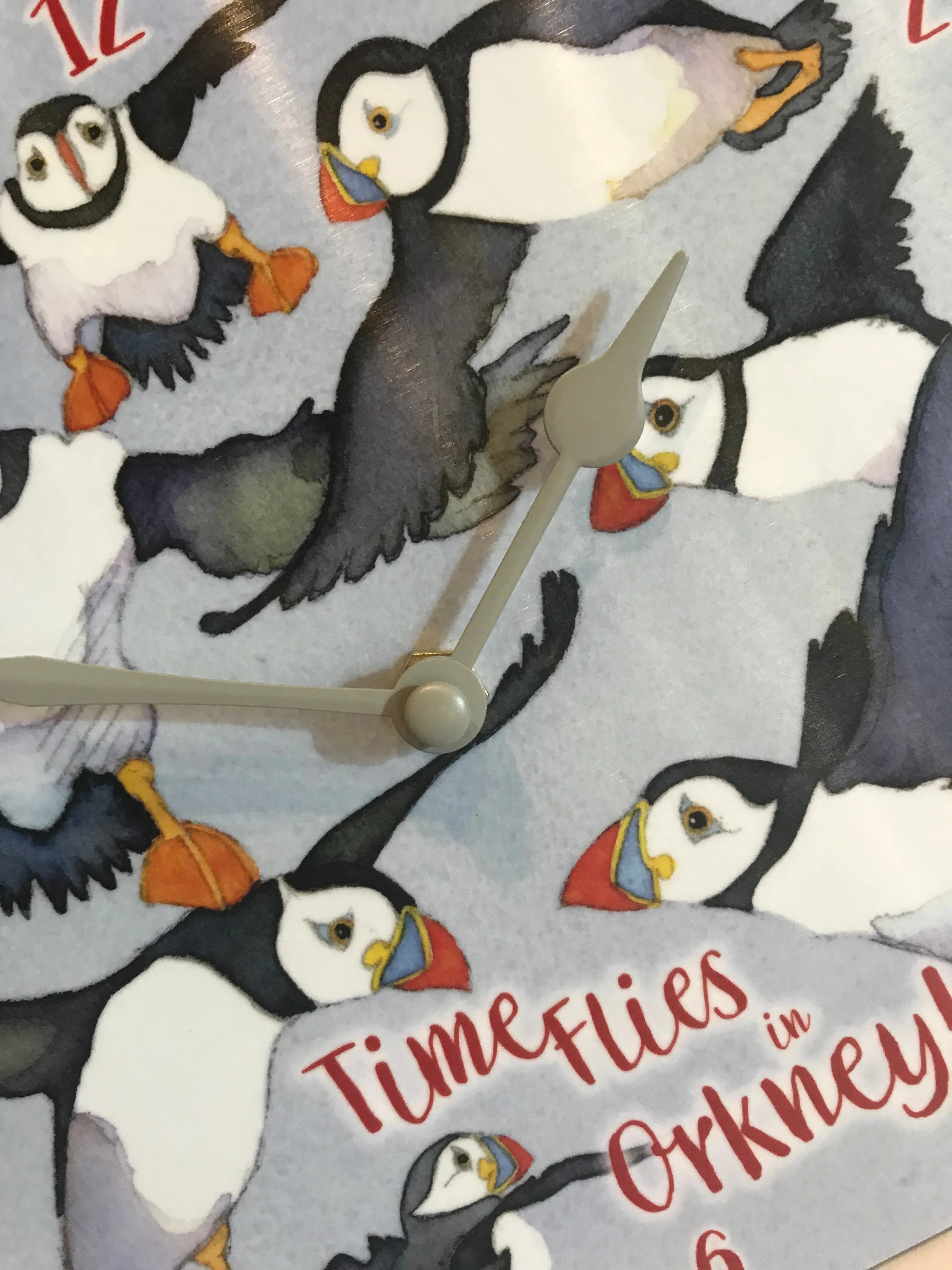 Emma Ball 'Time flies in Orkney' Wall Clock