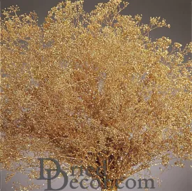 Gold Sparkle Stardust Gypsophila - Baby's Breath - Case Only