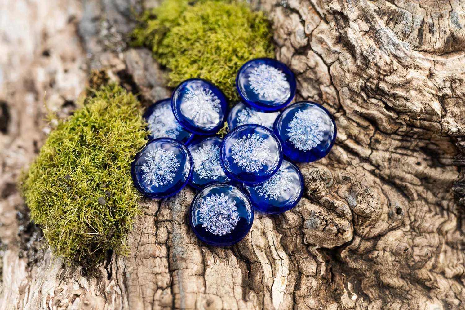 Sharing Stones Multi-Pack