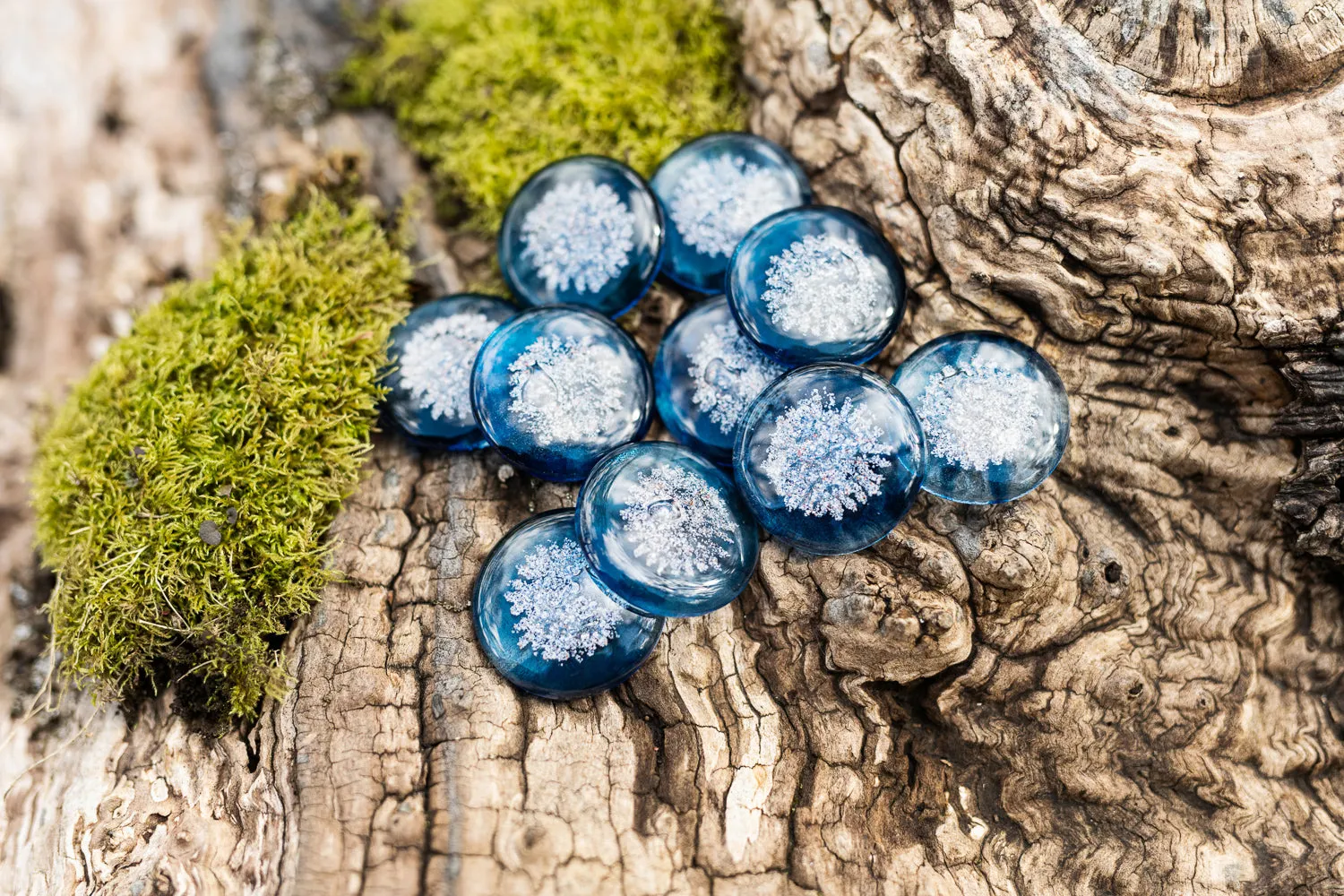 Sharing Stones Multi-Pack