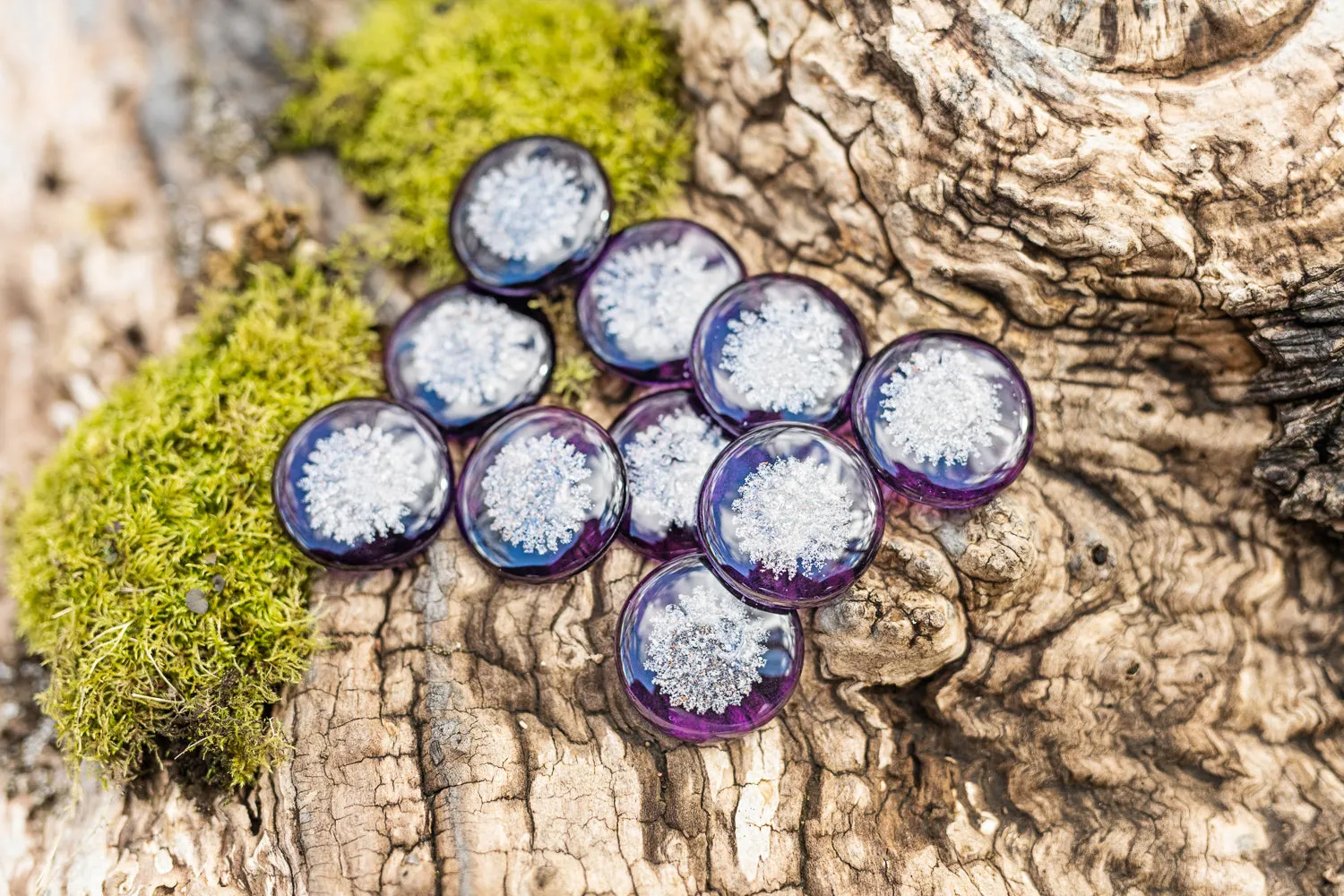 Sharing Stones Multi-Pack