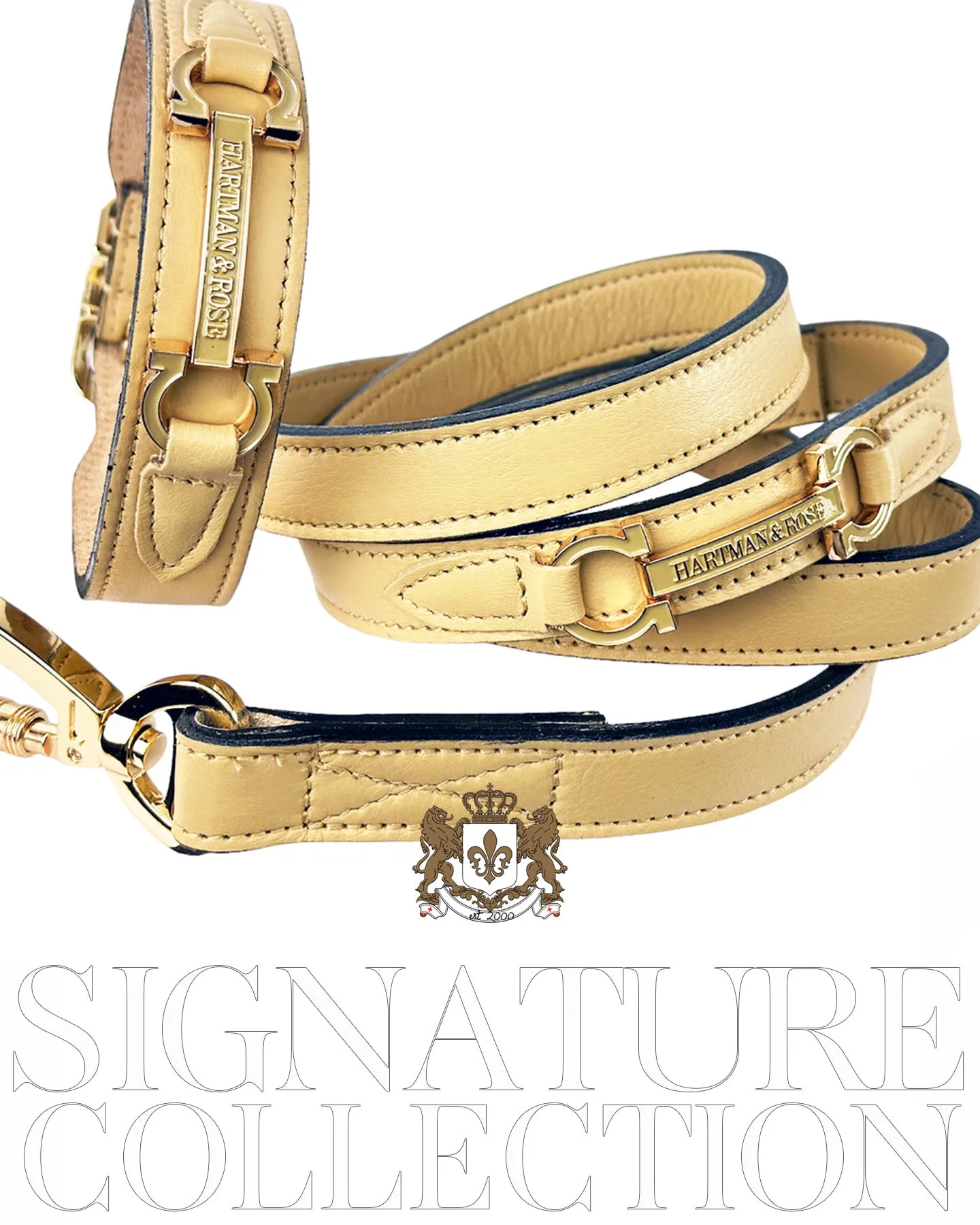 Signature Dog Collar in Vanilla & Gold