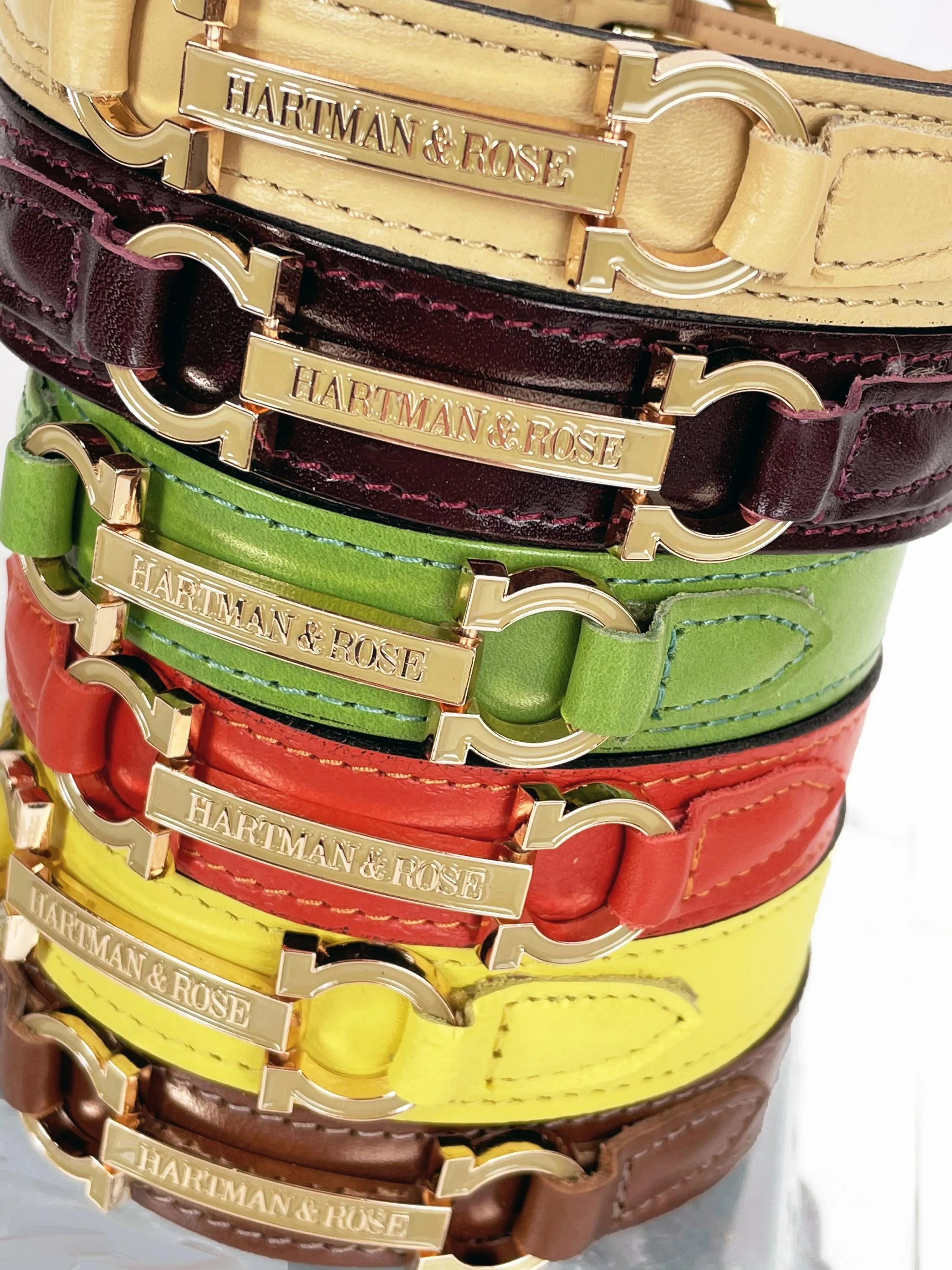 Signature Dog Collar in Vanilla & Gold